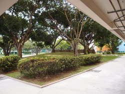 Blk 206 Tampines Street 21 (Tampines), HDB 3 Rooms #161668792